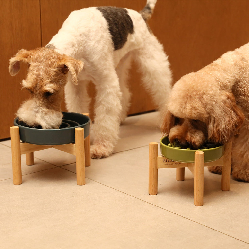 [Spark] Slow Feeder Dog Bowls - Red / Green / Blue